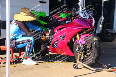 media/Jul-19-2025-TrackDaz (Sat) [[ff1509a44a]]/Around the Pits/